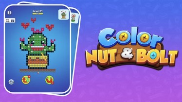 Color Nuts & Bolts Puzzle